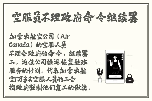 终极改造晶晶